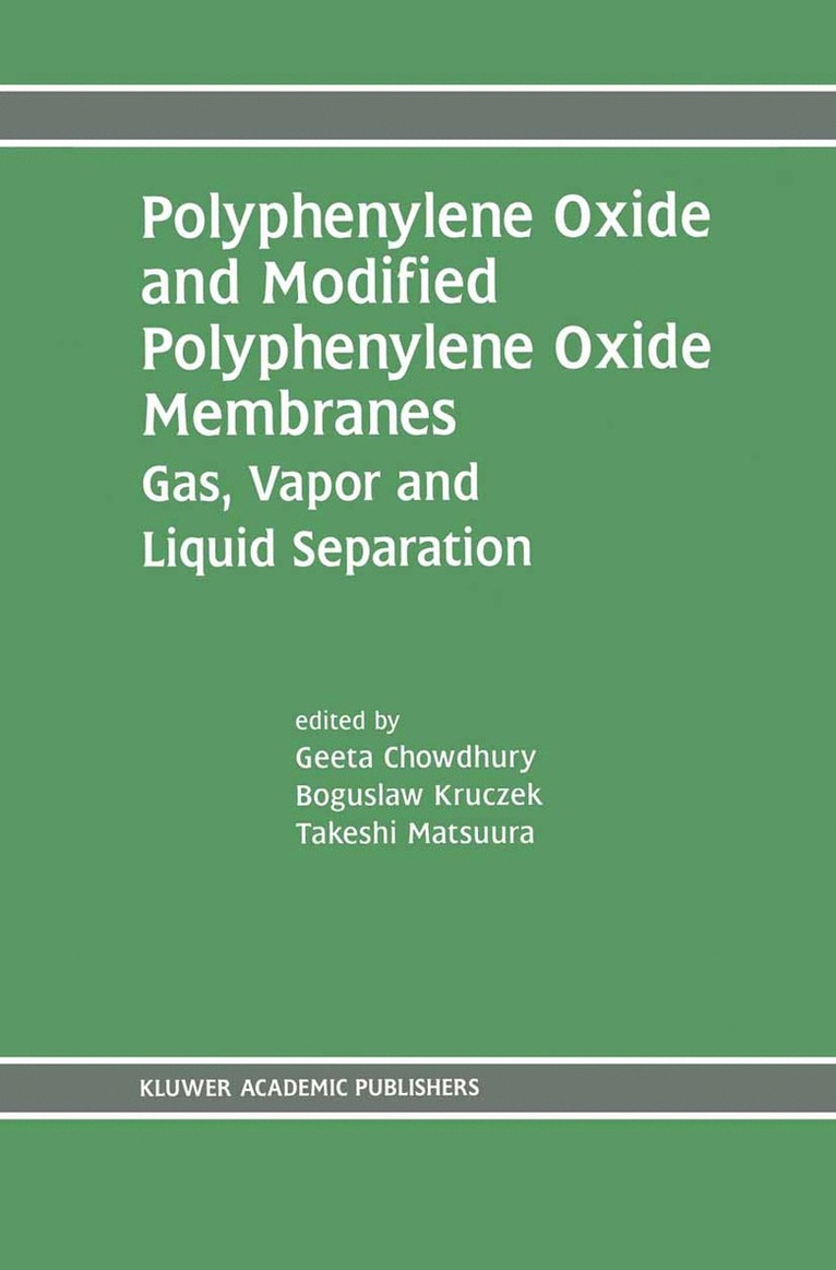 Geeta Chowdhury, Boguslaw Kruczek, Takeshi Matsuura - Polyphenylene Oxide and Modified Polyphenylene Oxide Membranes, Inbunden