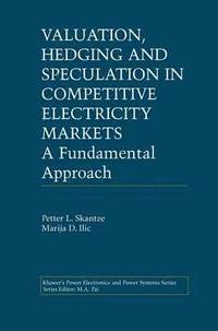 bokomslag Valuation, Hedging and Speculation in Competitive Electricity Markets