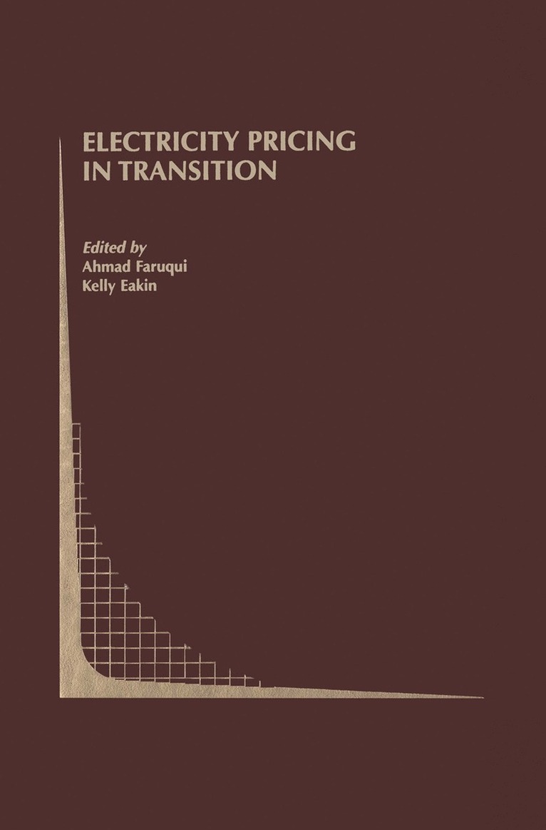 Ahmad Faruqui, Kelly Eakin - Electricity Pricing in Transition, Inbunden