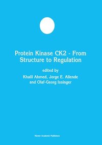 bokomslag Protein Kinase CK2  From Structure to Regulation