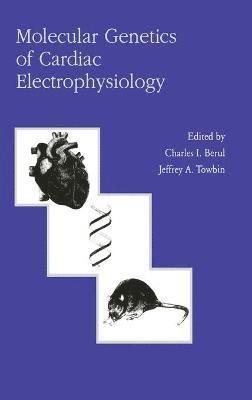 C. Berul, Jeffrey A. Towbin, Charles I. Berul - Molecular Genetics of Cardiac Electrophysiology, Inbunden