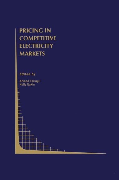 Ahmad Faruqui, Kelly Eakin - Pricing in Competitive Electricity Markets, Inbunden
