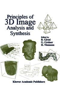 bokomslag Principles of 3D Image Analysis and Synthesis