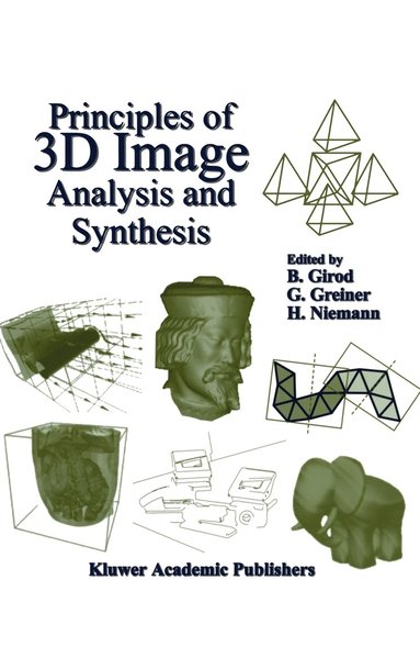 bokomslag Principles of 3D Image Analysis and Synthesis