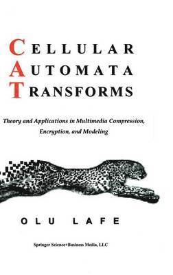Olurinde Lafe, Olu Lafe - Cellular Automata Transforms, Inbunden