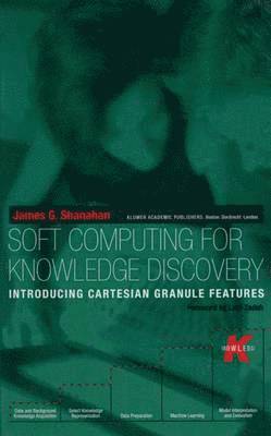 bokomslag Soft Computing for Knowledge Discovery