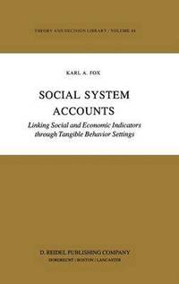bokomslag Social System Accounts