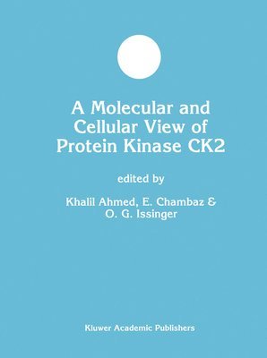 Molecular and Cellular View of Protein Kinase CK2