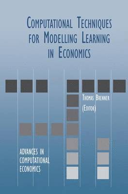 Computational Techniques for Modelling Learning in Economics