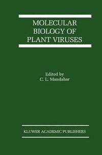 bokomslag Molecular Biology of Plant Viruses