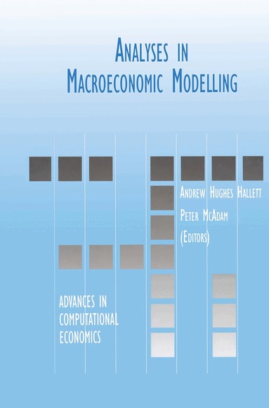 Andrew J. Hughes Hallett, Peter McAdam - Analyses in Macroeconomic Modelling, Inbunden