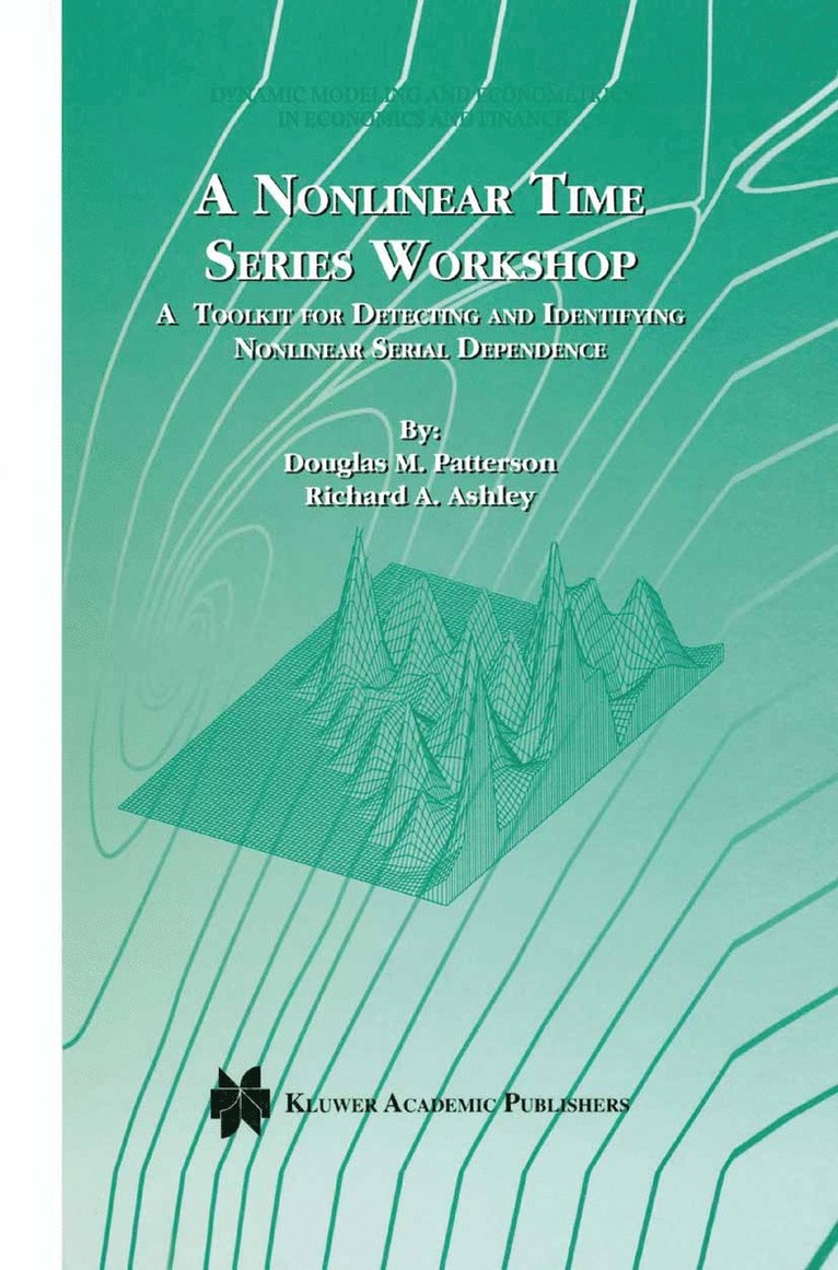 Douglas M. Patterson, Richard A. Ashley - Nonlinear Time Series Workshop, Inbunden