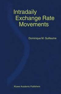 bokomslag Intradaily Exchange Rate Movements