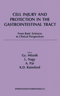 bokomslag Cell Injury and Protection in the Gastrointestinal Tract: No. 4 International Symposium Held at Pecs, Hungary, 8-11 October 1996