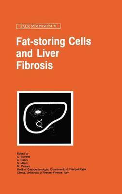 bokomslag Fat Storing Cells and Liver Fibrosis