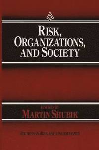 bokomslag Risk, Organizations, and Society