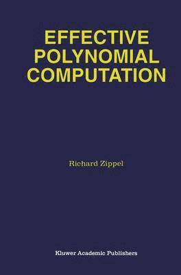 bokomslag Effective Polynomial Computation