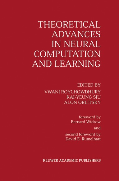 bokomslag Theoretical Advances in Neural Computation and Learning