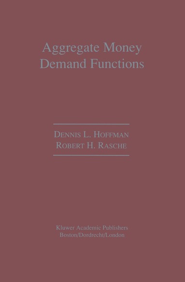 bokomslag Aggregate Money Demand Functions