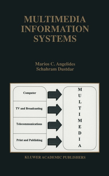 bokomslag Multimedia Information Storage and Management