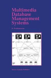 bokomslag Multimedia Database Management Systems