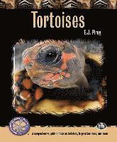 E. J. Pirog - Tortoises, Häftad