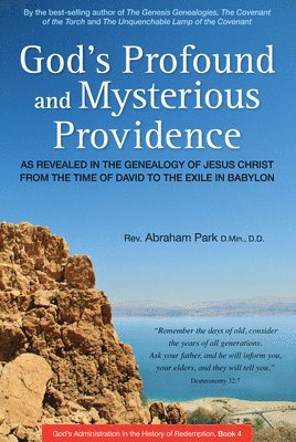 Abraham Park - God's Profound and Mysterious Providence, Häftad