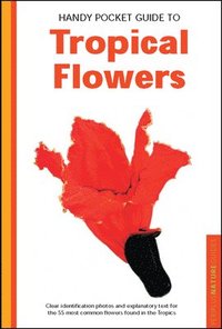 bokomslag Handy Pocket Guide to Tropical Flowers