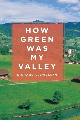 Richard Llewellyn - How Green Was My Valley, Häftad