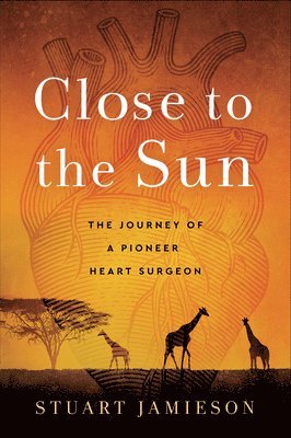 Close to the Sun 1