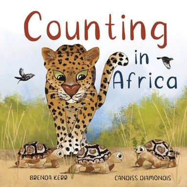 bokomslag Counting in Africa
