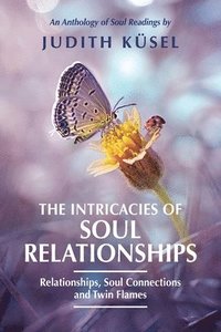 bokomslag The Intricacies of Soul Relationships
