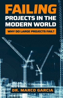 bokomslag Failing Projects in the Modern World