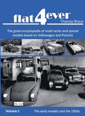 Thomas H Braun, Pieter H du Toit, Thomas H. Braun, Pieter H. du Toit, Pieter Du Toit - FLAT4ever, Häftad