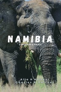 bokomslag Namibia: Second Edition