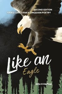 bokomslag Like an Eagle - Second Edition