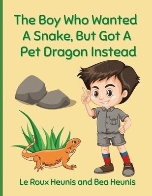 The Boy Who Wanted A Snake, But Got A Pet Dragon Instead 1