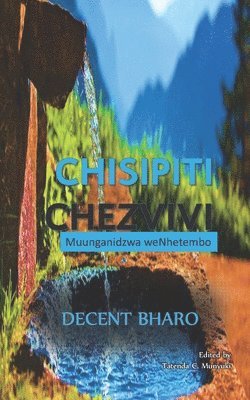 Decent Bharo, Tatenda C. Munyuki - Chisipiti Chezvivi: Muunganidzwa weNhetembo, Häftad