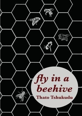 fly in a beehive 1