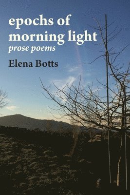 epochs of morning light 1