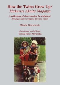 bokomslag How the Twins Grew Up