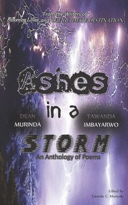 Tawanda Imbayarwo, Tatenda C. Munyuki - Ashes in a Storm: An Anthology of Poems, Häftad
