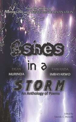 Ashes in a Storm: An Anthology of Poems 1