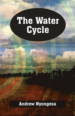 bokomslag The Water Cycle