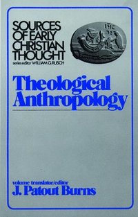 bokomslag Theological Anthropology