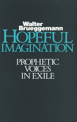 Hopeful Imagination 1