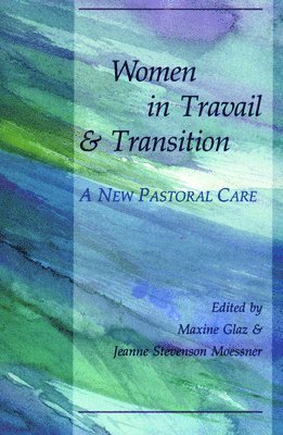 Glaz, Maxine Glaz, Jeanne Stevenson Moessner, Jeanne S Moessner - Women in Travail and Transition, Häftad