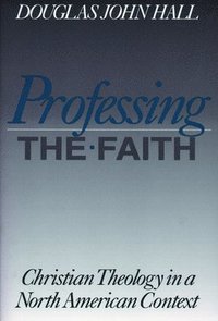 bokomslag Professing the Faith