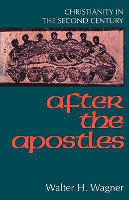 bokomslag After the Apostles