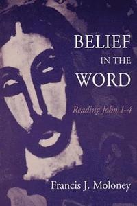 bokomslag Belief in the Word